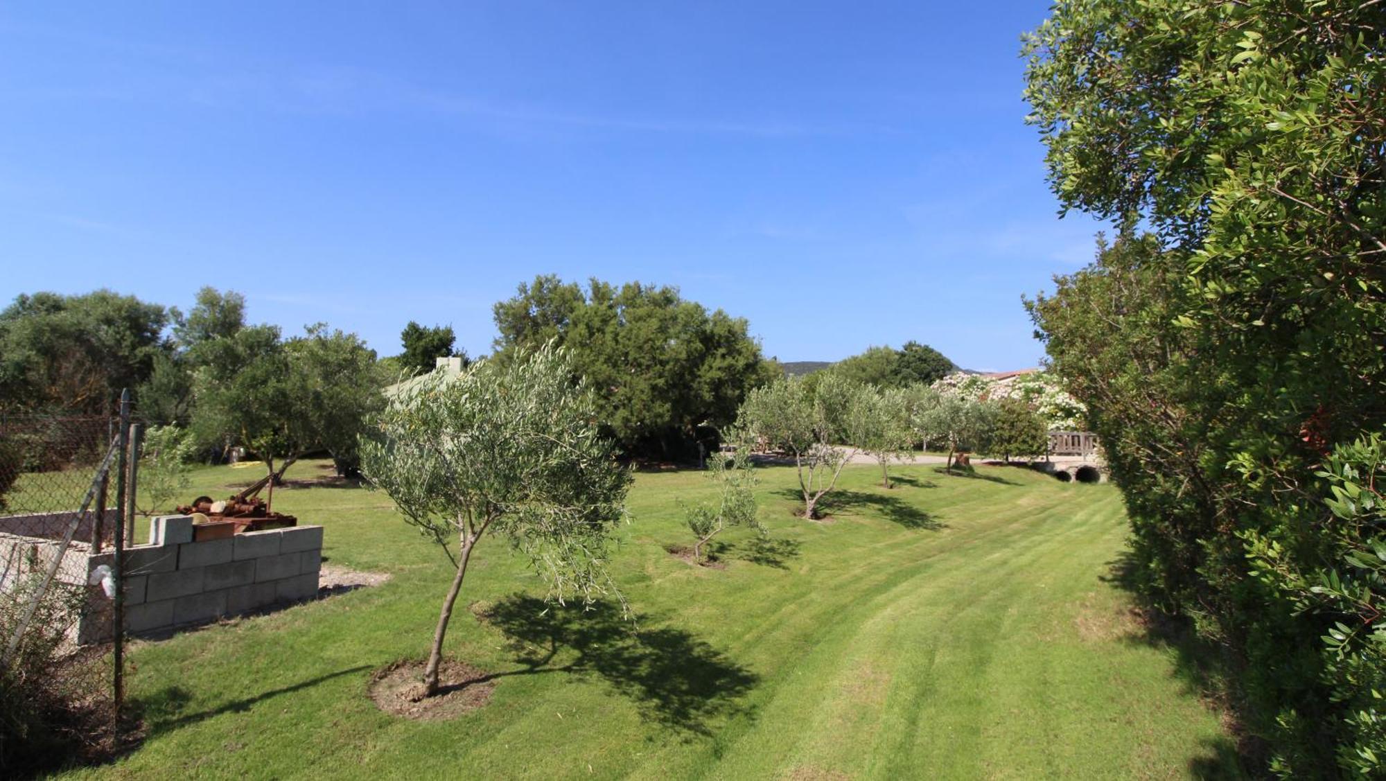 Casa Vacanze Giovanna SantʼAnna Arresi Exterior foto